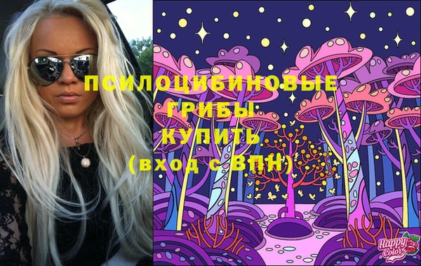 spice Абинск